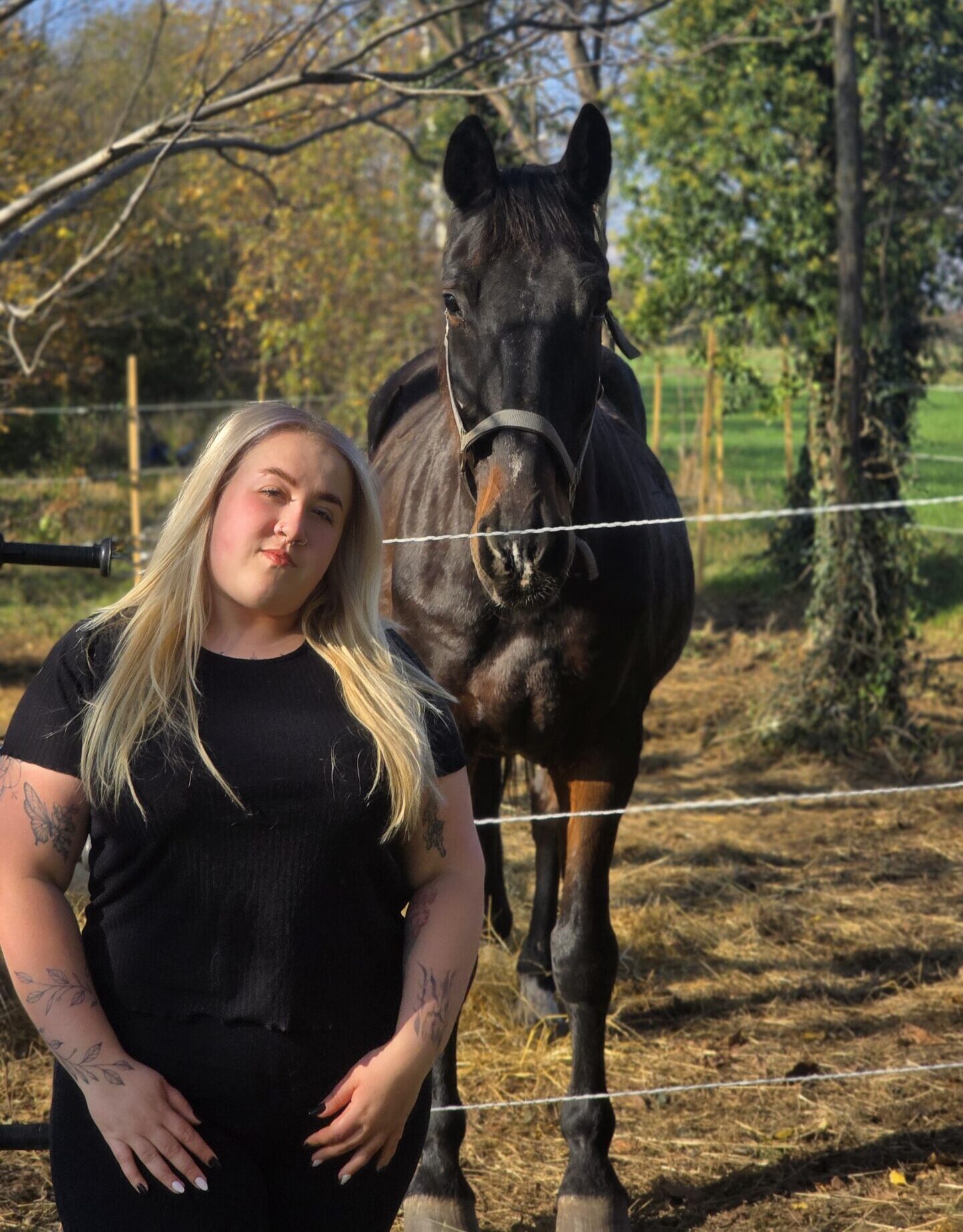 Grafikai tervezési munkák - logók és arculati elemek